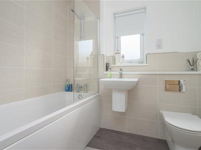 Picture 20